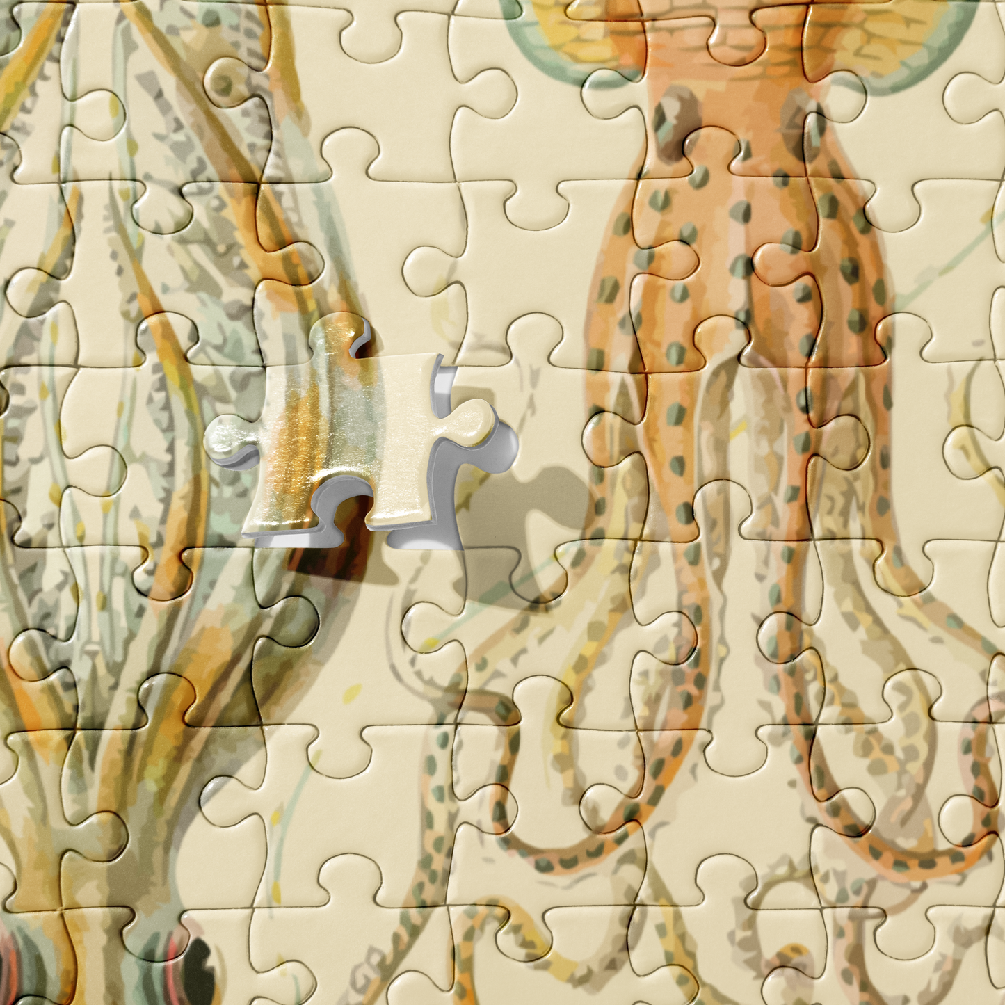 Cephalopod Jigsaw Party
