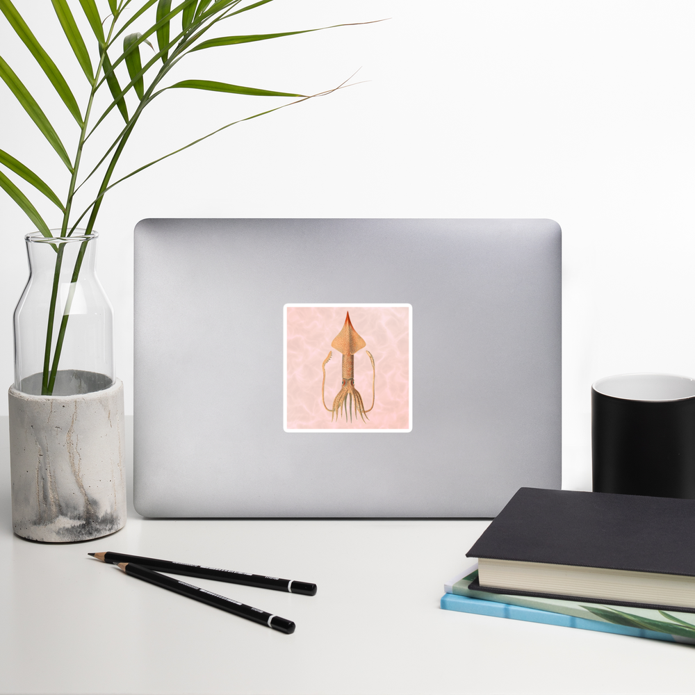 Angel Clubhook Squid 4x4 vinyl sticker with red background on a laptop — deep-sea cephalopod illustration kiss-cut sticker