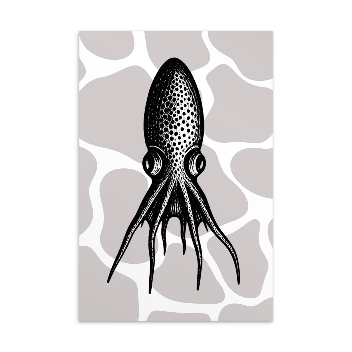 Blanket Octopus vintage illustration postcard — black and white illustration of Tremoctopus on patterned background