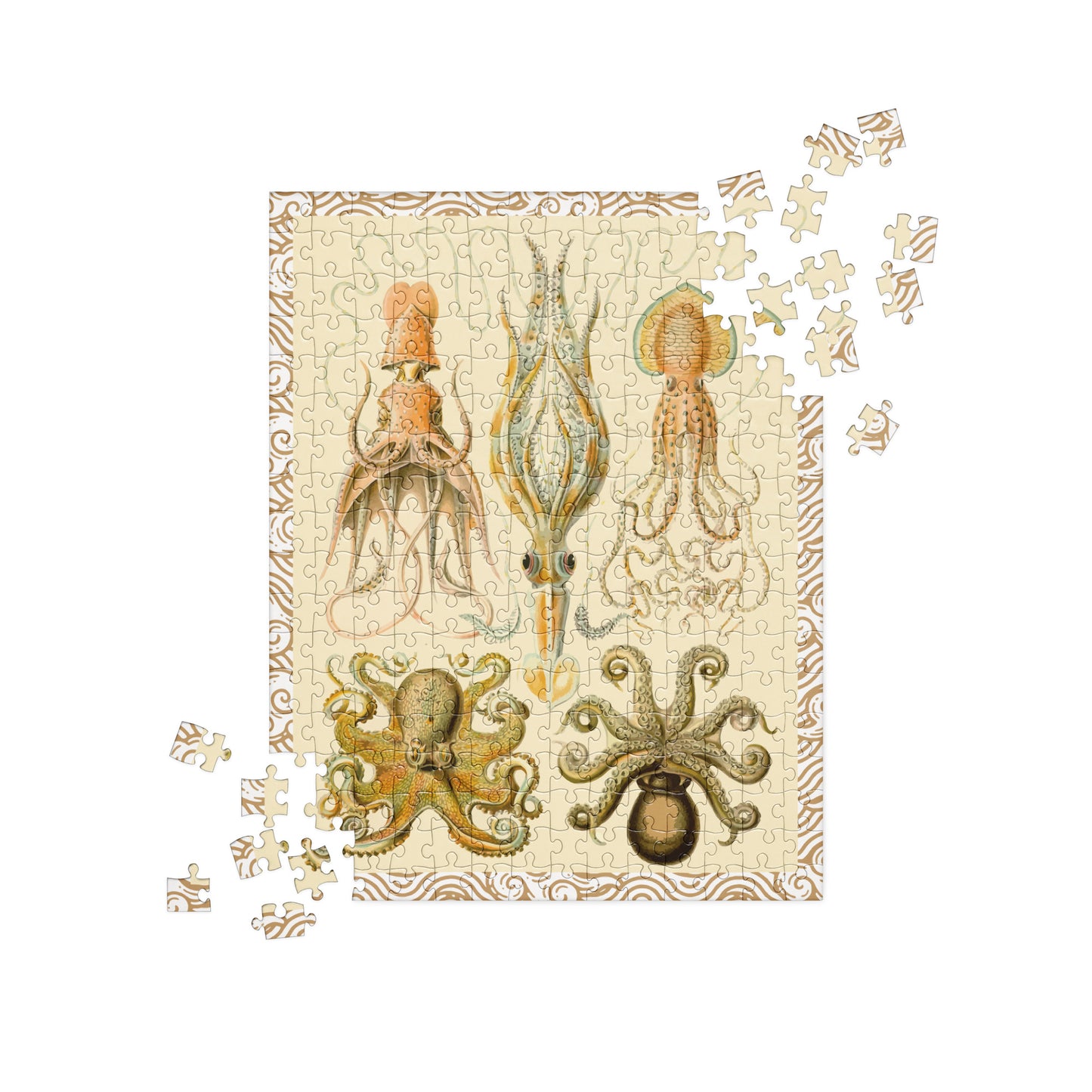 Cephalopod Jigsaw Party