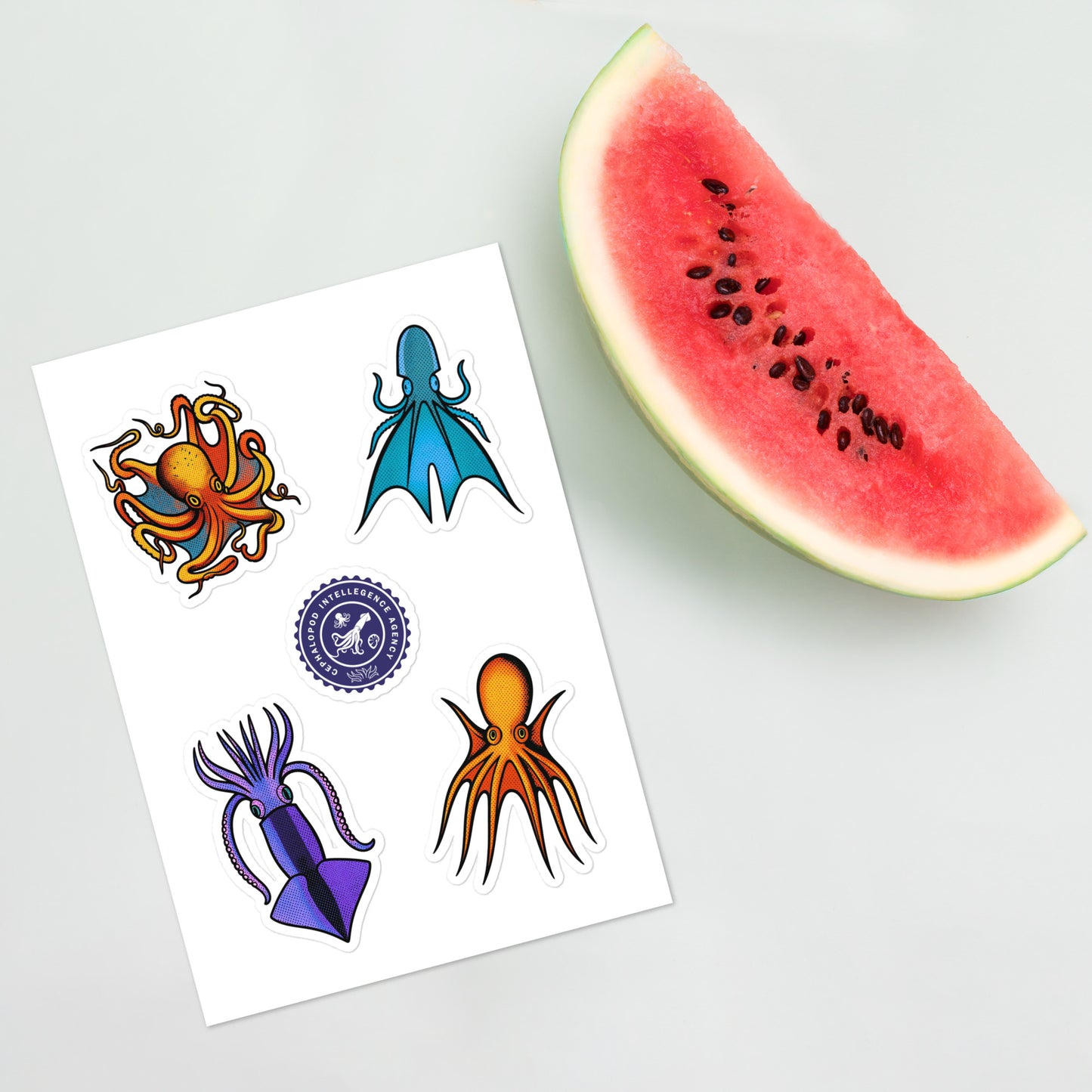 Cephalopod Intelligence Agency sticker sheet series 1 — pop art illustrations of Octopus Vulgaris, Blanket Octopus, Tetracirrhus, and Loligo Todarus Squid
