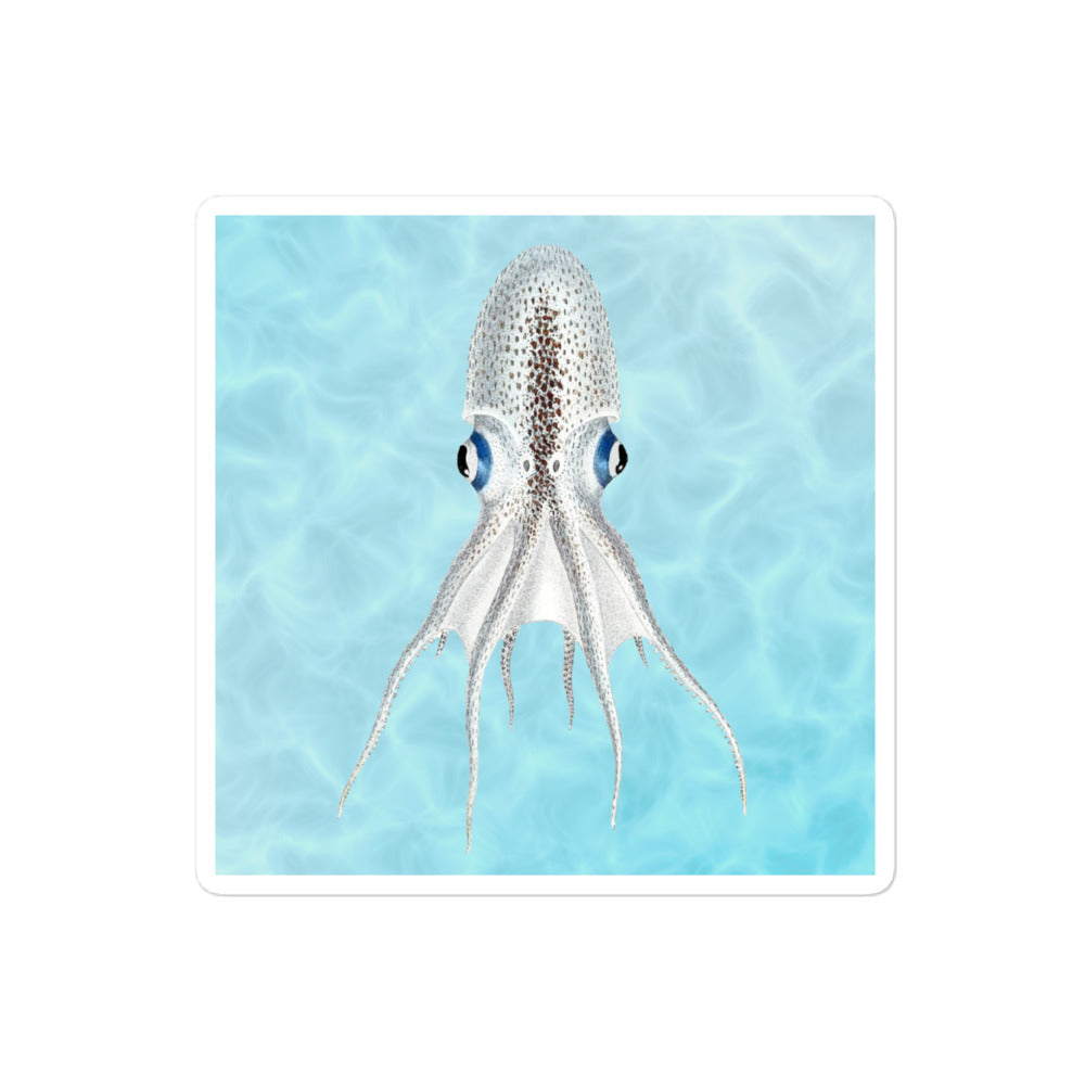 Blanket Octopus 4x4 vinyl sticker with blue background — cephalopod illustration kiss-cut sticker