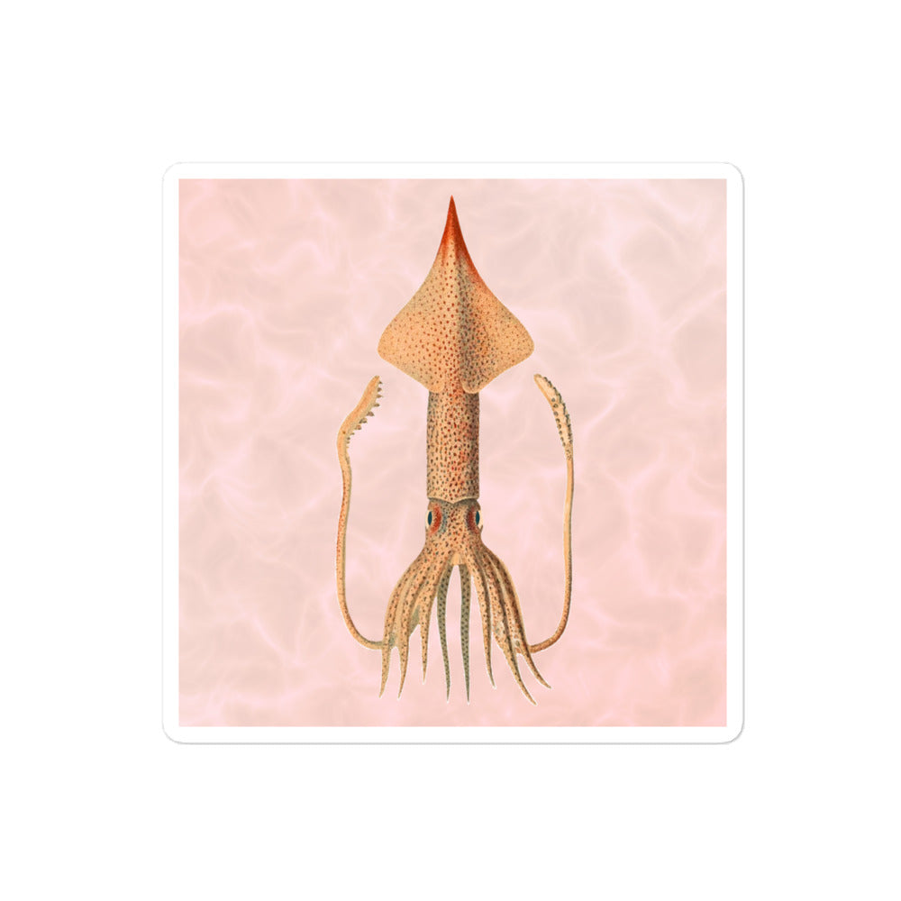 Angel Clubhook Squid 4x4 vinyl sticker with red background — deep-sea cephalopod illustration kiss-cut sticker