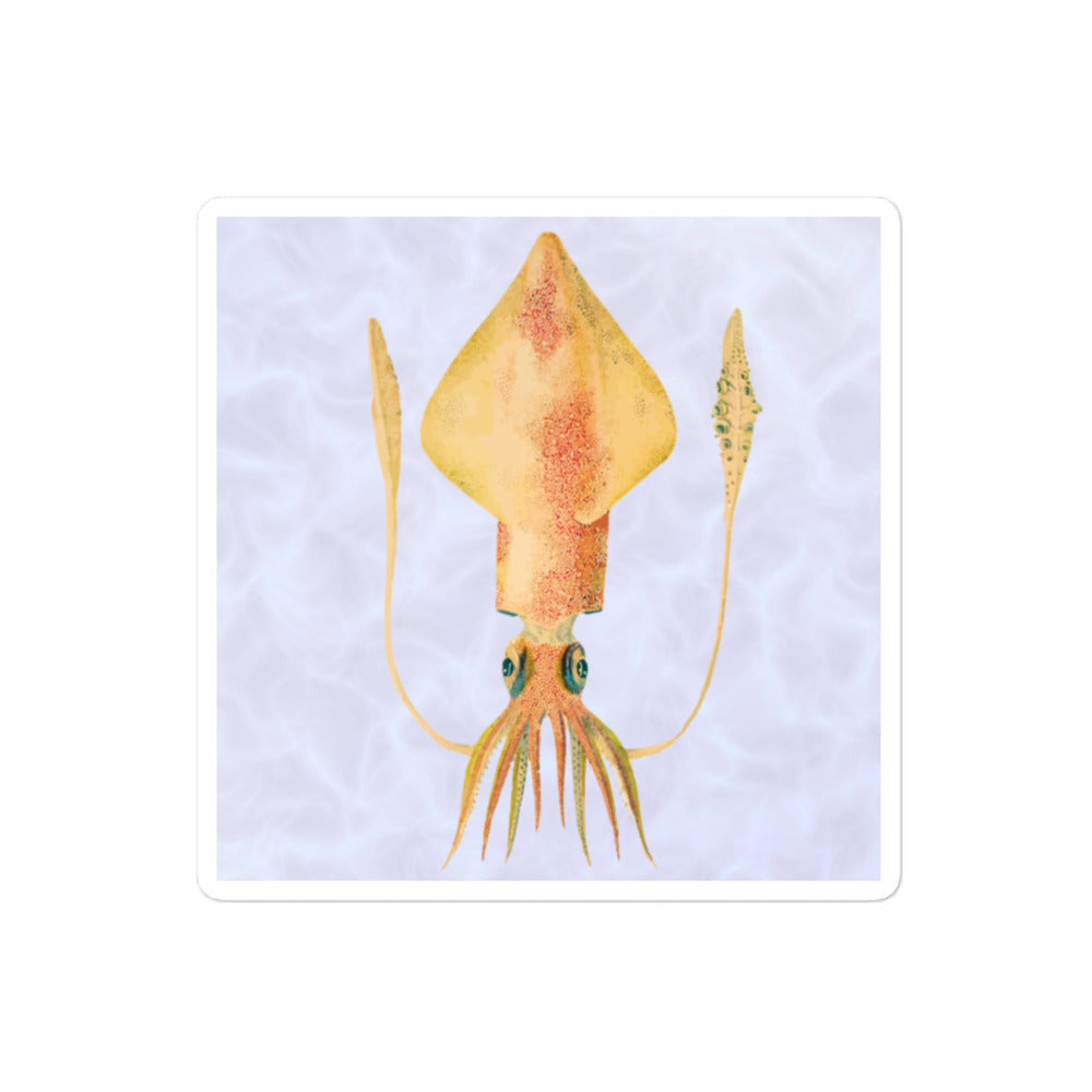 Loligo Vulgaris squid 4x4 vinyl sticker with purple background — European common squid cephalopod illustration kiss-cut sticker