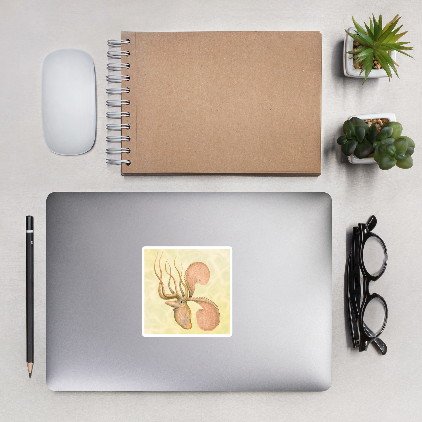 Argonauta Argo paper nautilus 4x4 vinyl sticker with yellow background  on a laptop