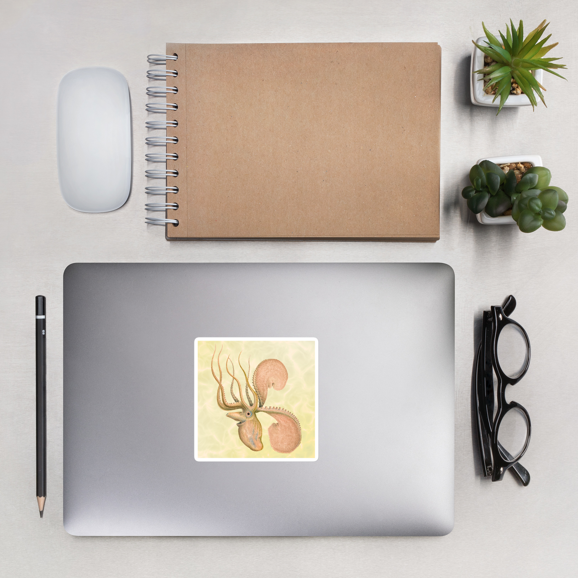 Argonauta Argo paper nautilus 4x4 vinyl sticker with yellow background  on a laptop