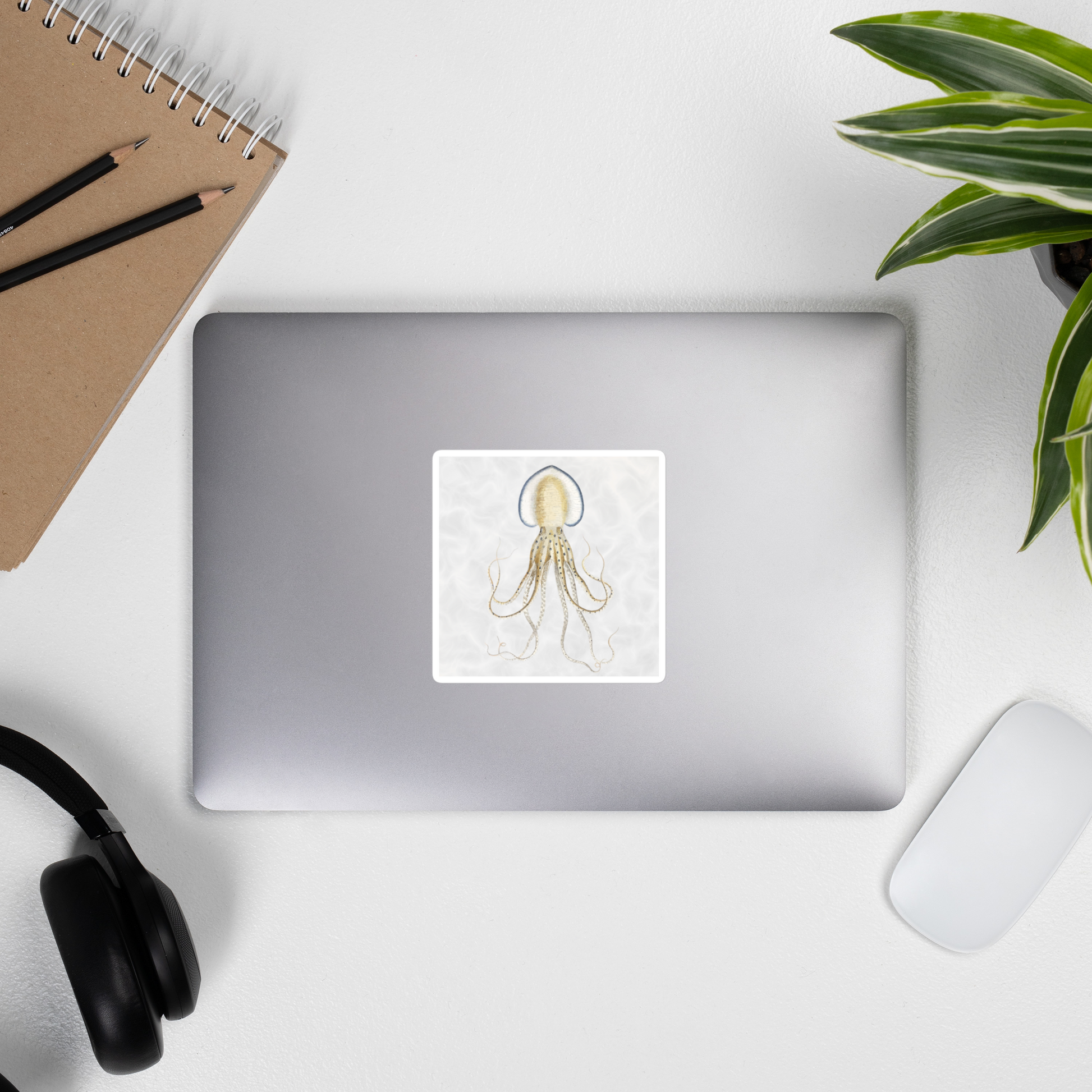 Pinnoctopus Cordifermis octopus 4x4 vinyl sticker with white background — vintage scientific illustration kiss-cut sticker