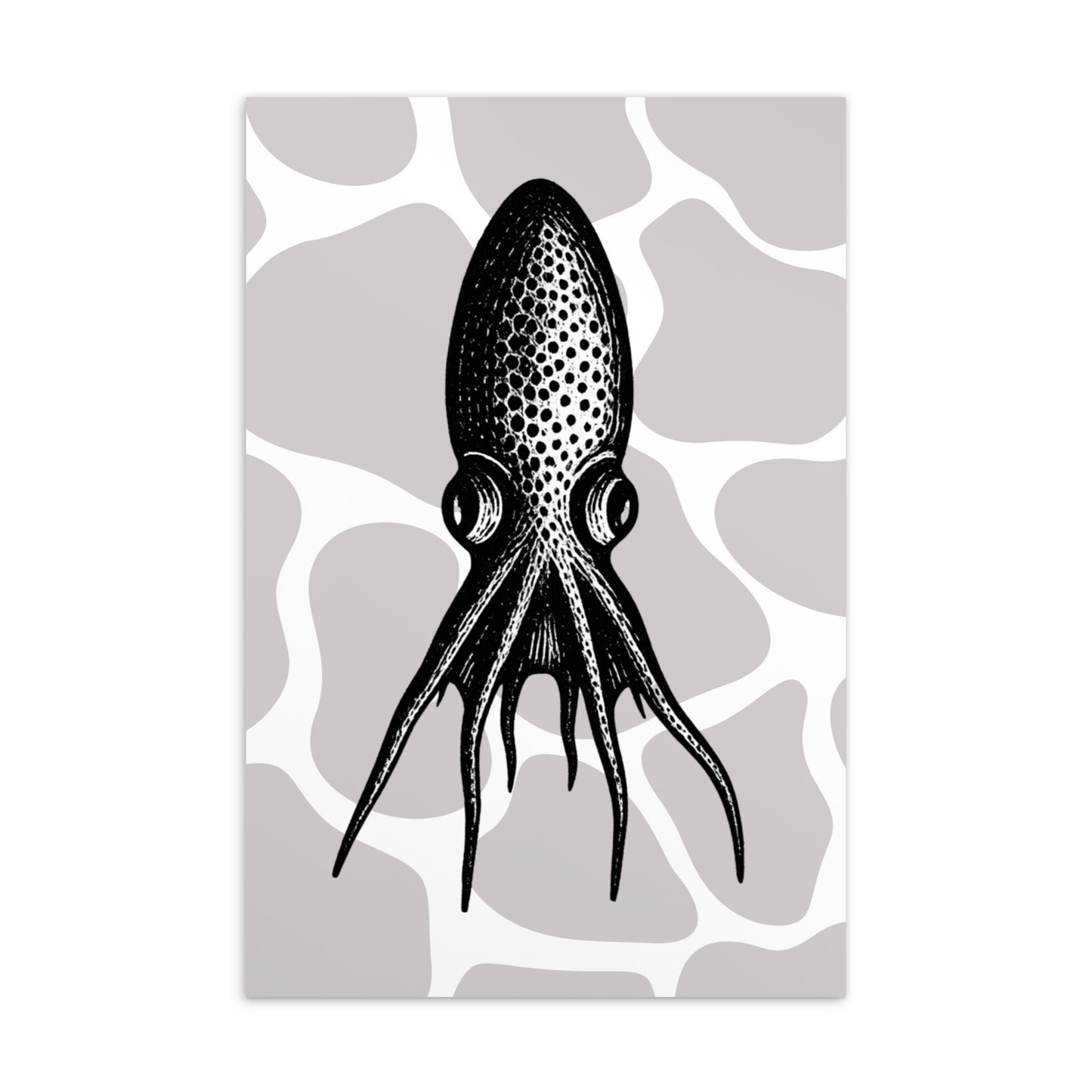 Blanket Octopus vintage illustration postcard — black and white illustration of Tremoctopus on patterned background