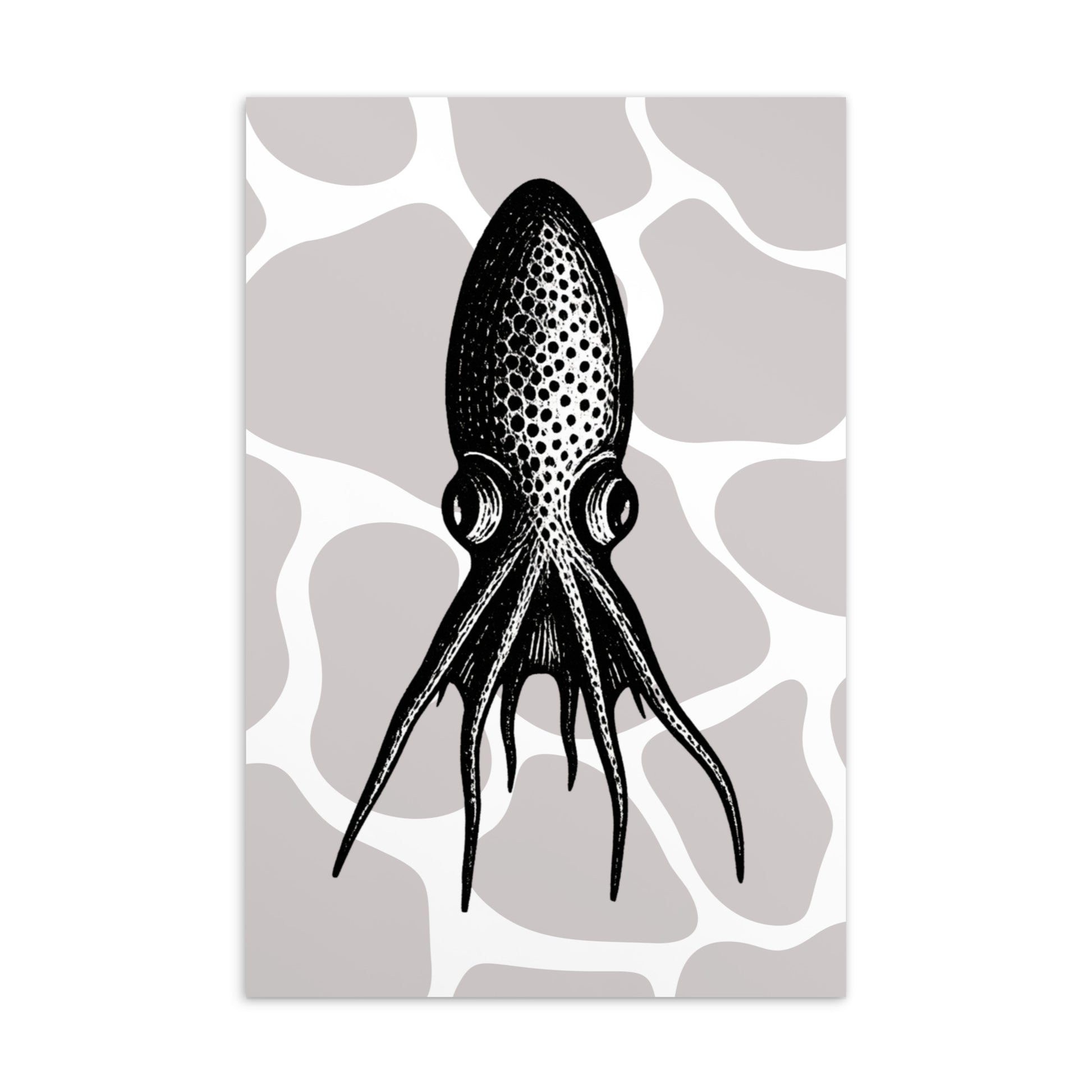 Blanket Octopus vintage illustration postcard — black and white illustration of Tremoctopus on patterned background