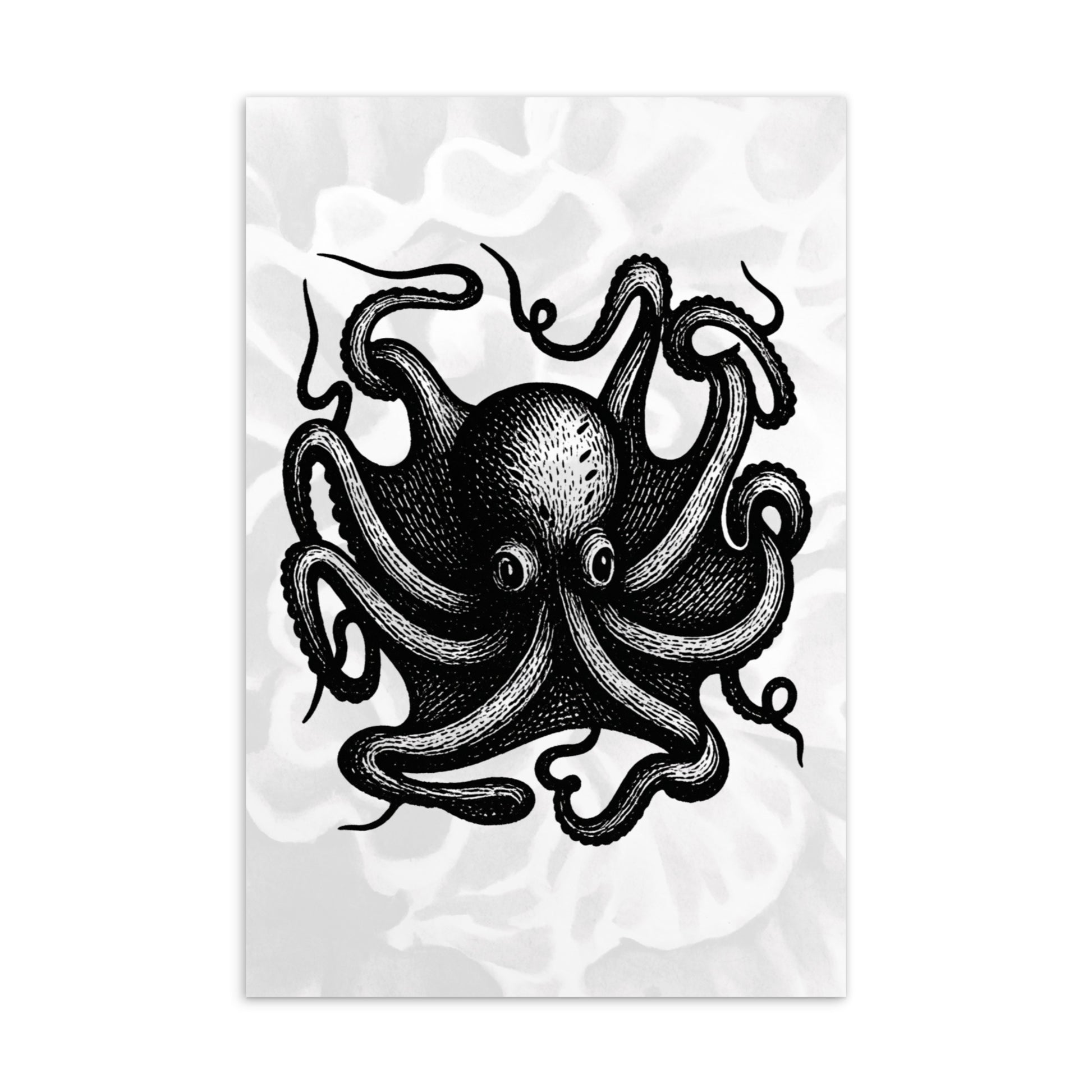 Octopus Vulgaris lithocut postcard — black and white illustration of common octopus with radiating arms