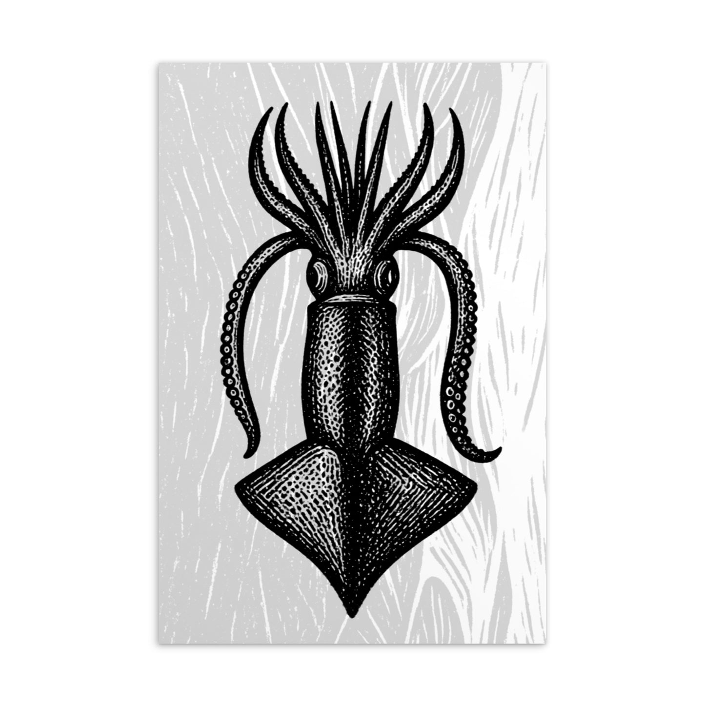 Loligo Todarus Squid lithocut postcard — black and white illustration of European flying squid on textured background