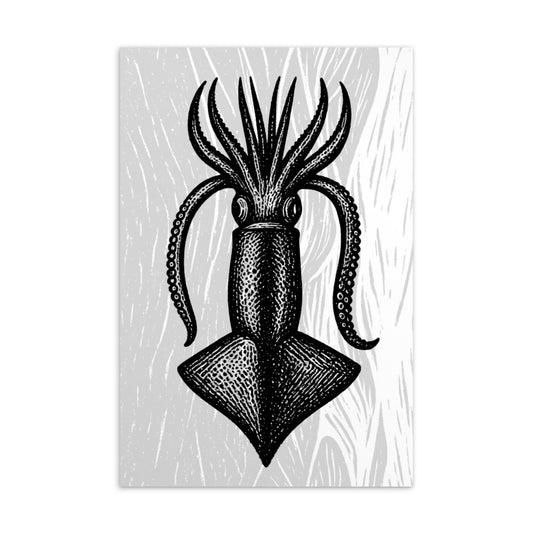 Loligo Todarus Squid lithocut postcard — black and white illustration of European flying squid on textured background