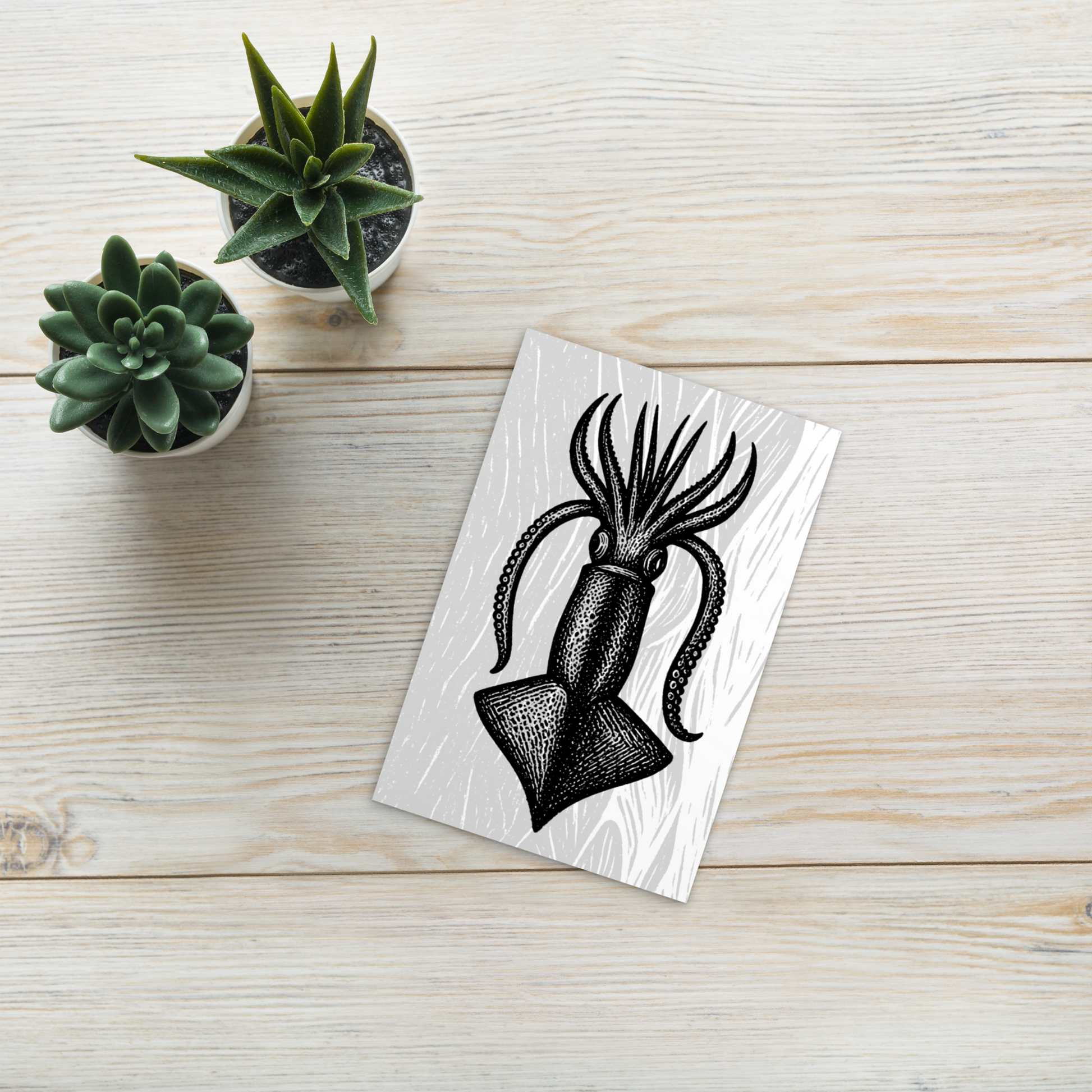Loligo Todarus Squid lithocut postcard — black and white illustration of European flying squid on textured background placed on a wooden surface with small potted plants.