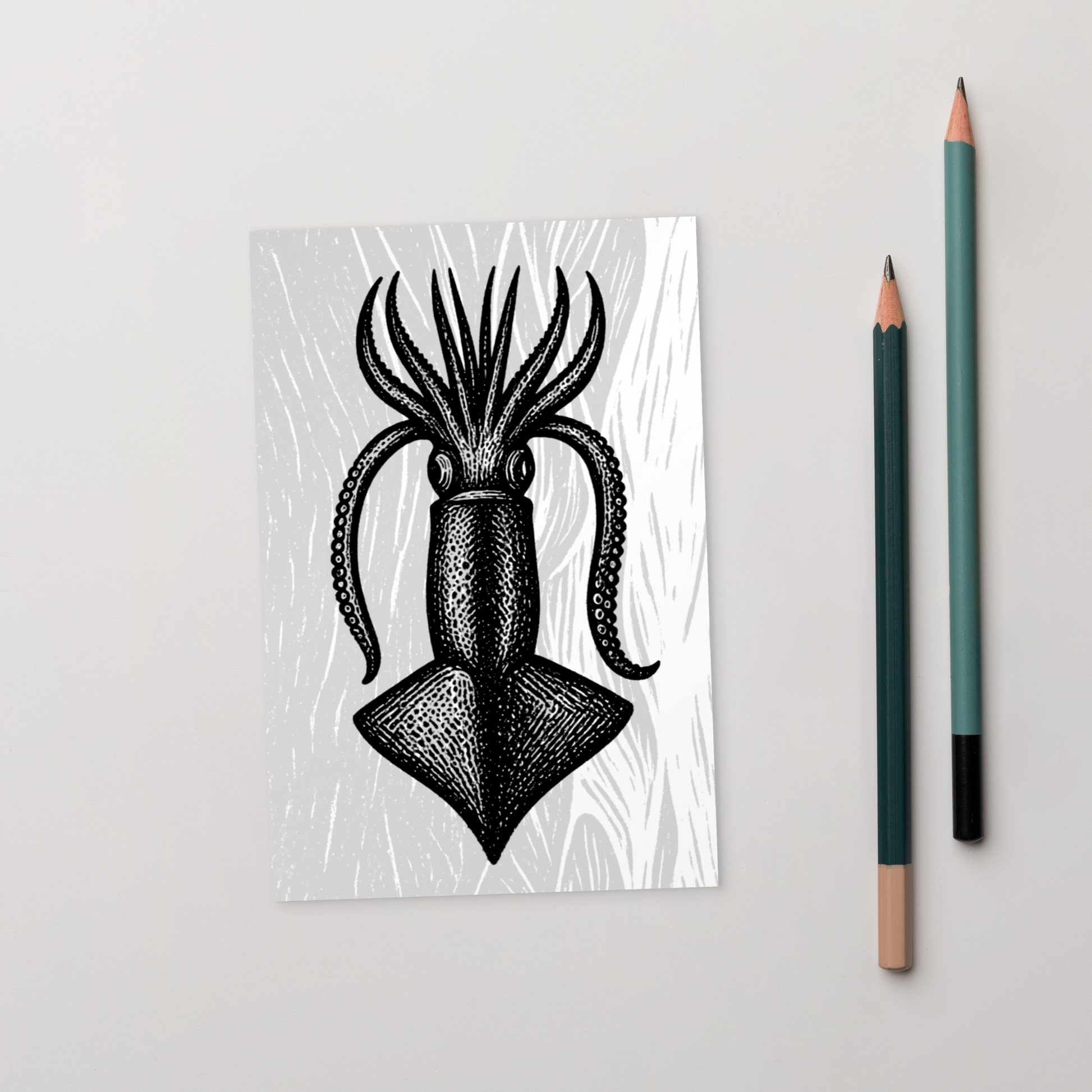 Loligo Todarus Squid lithocut postcard — black and white illustration of European flying squid on textured background with two green pencils on a light gray background