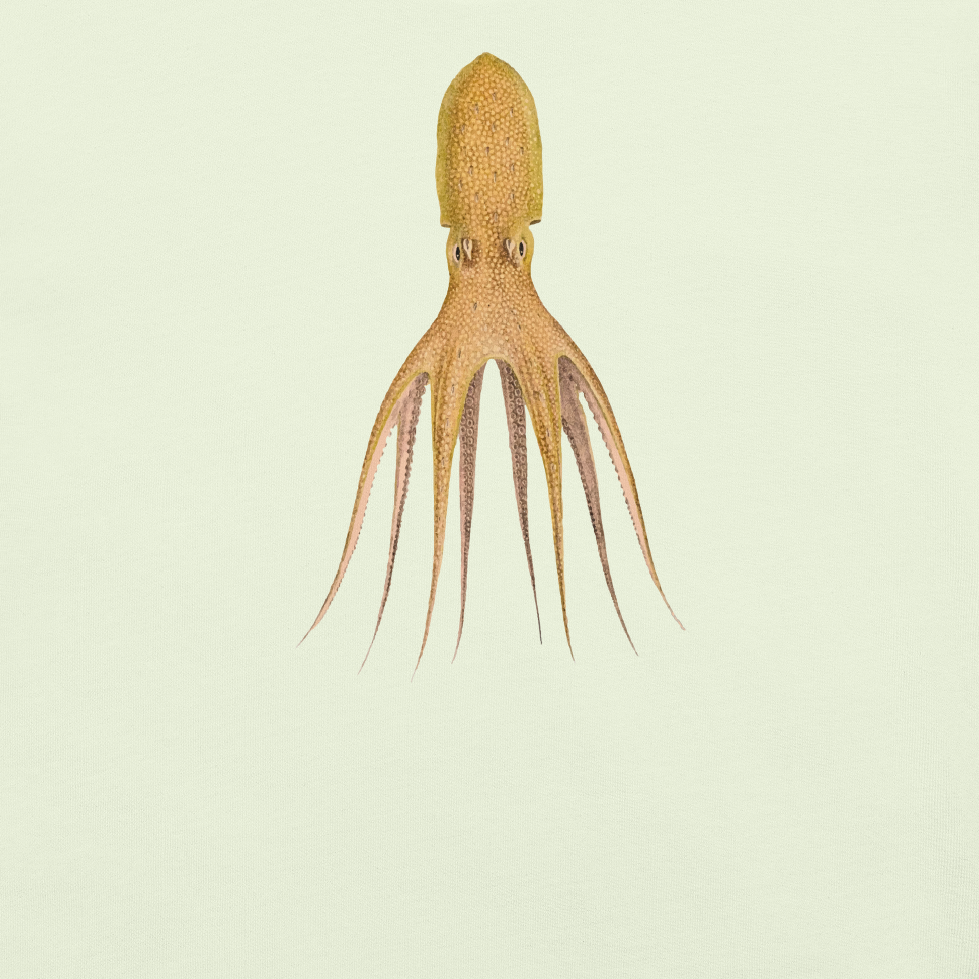 Octopus Cocco tee in Citron - cephalopod art on soft unisex tee
